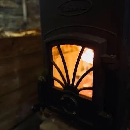 Cozy Hylla *