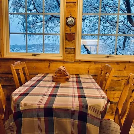 Cozy Hylla *